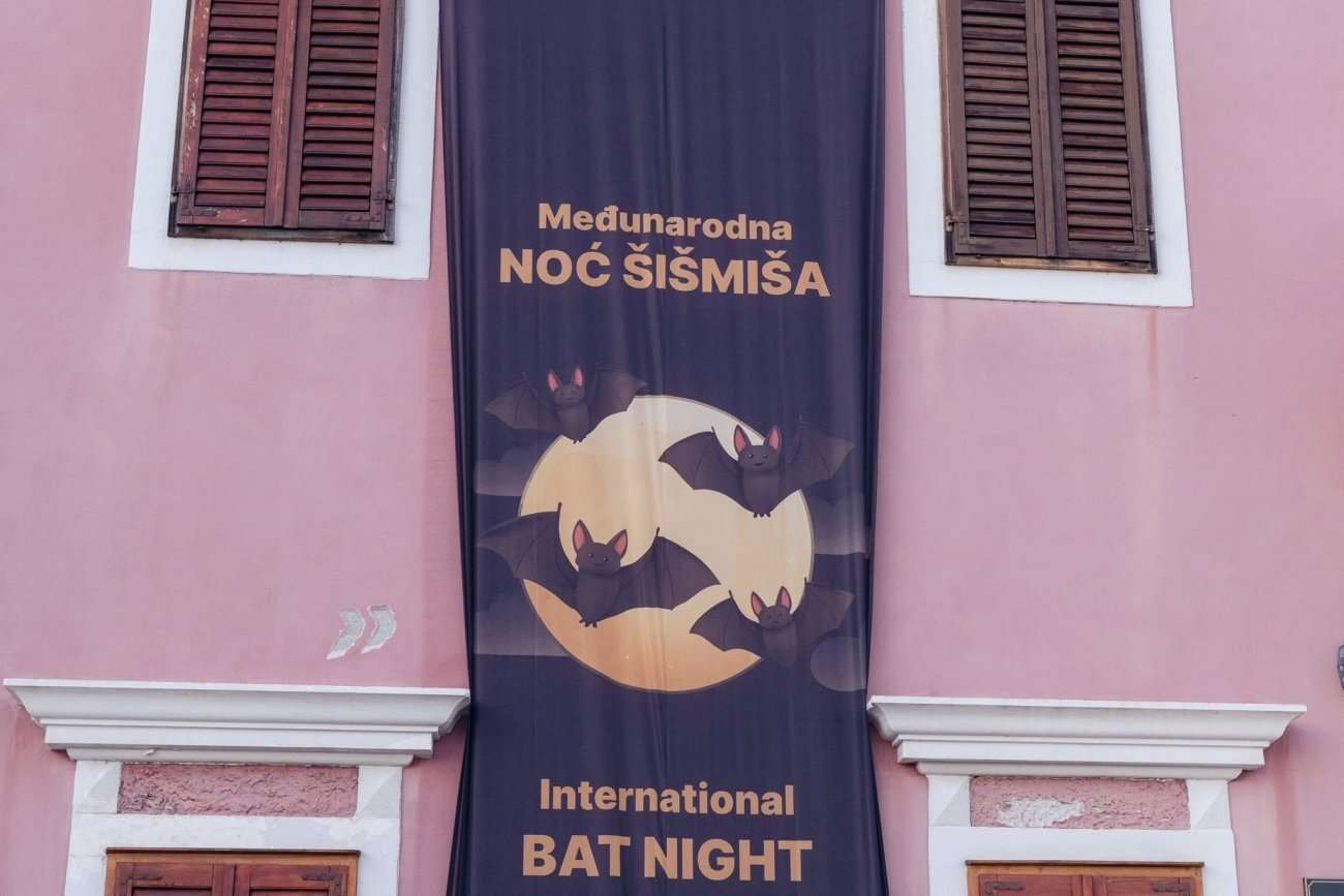 Noć šišmiša u Biogradu donijela je kreativne radionice, film i potragu za šišmišima