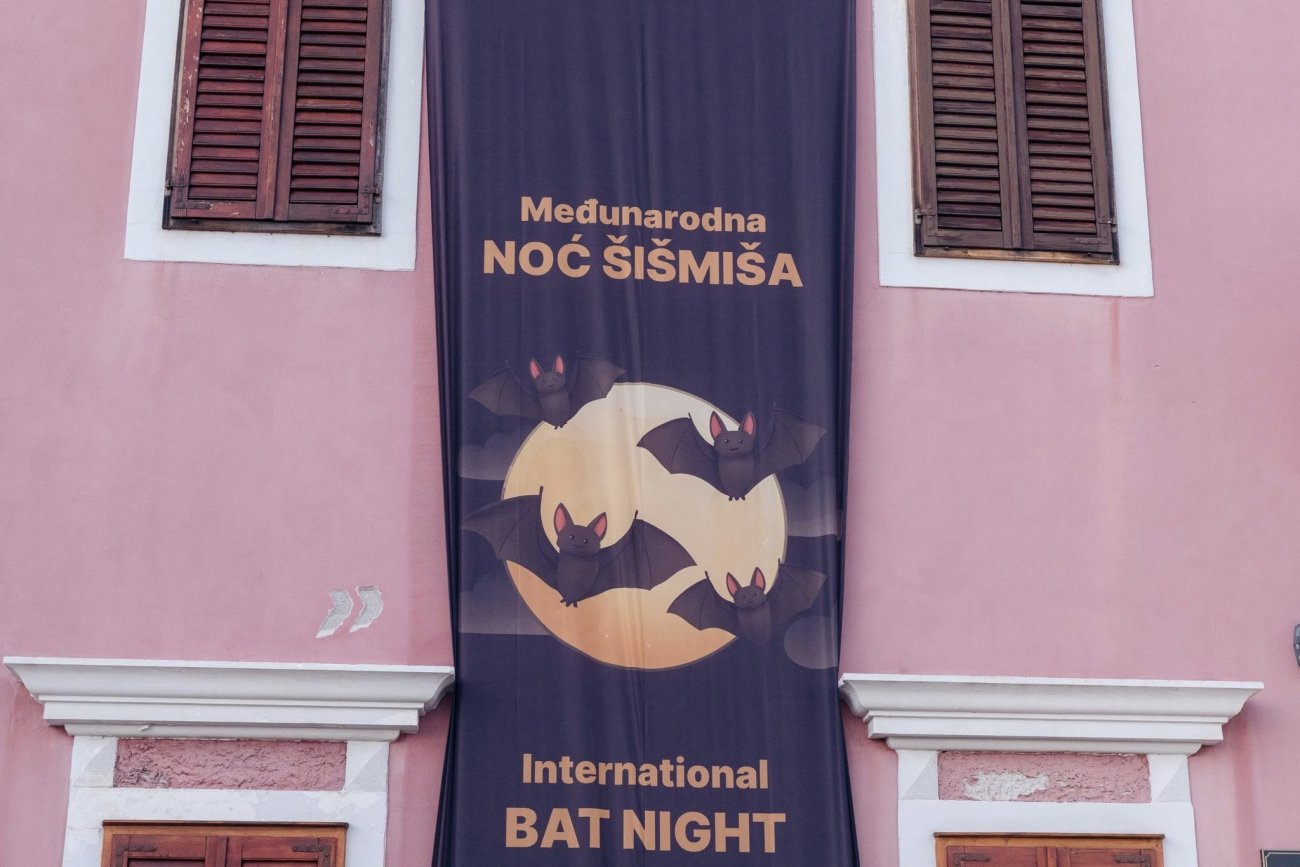 Noć šišmiša u Biogradu donijela je kreativne radionice, film i potragu za šišmišima